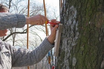 Zestaw Fakopp DynaTree - Pulling Test