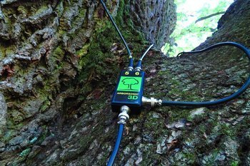 Tomograf akustyczny Fakopp ArborSonic 3D